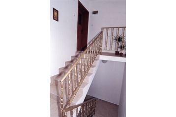 Bulgārija Chata Velika, Eksterjers